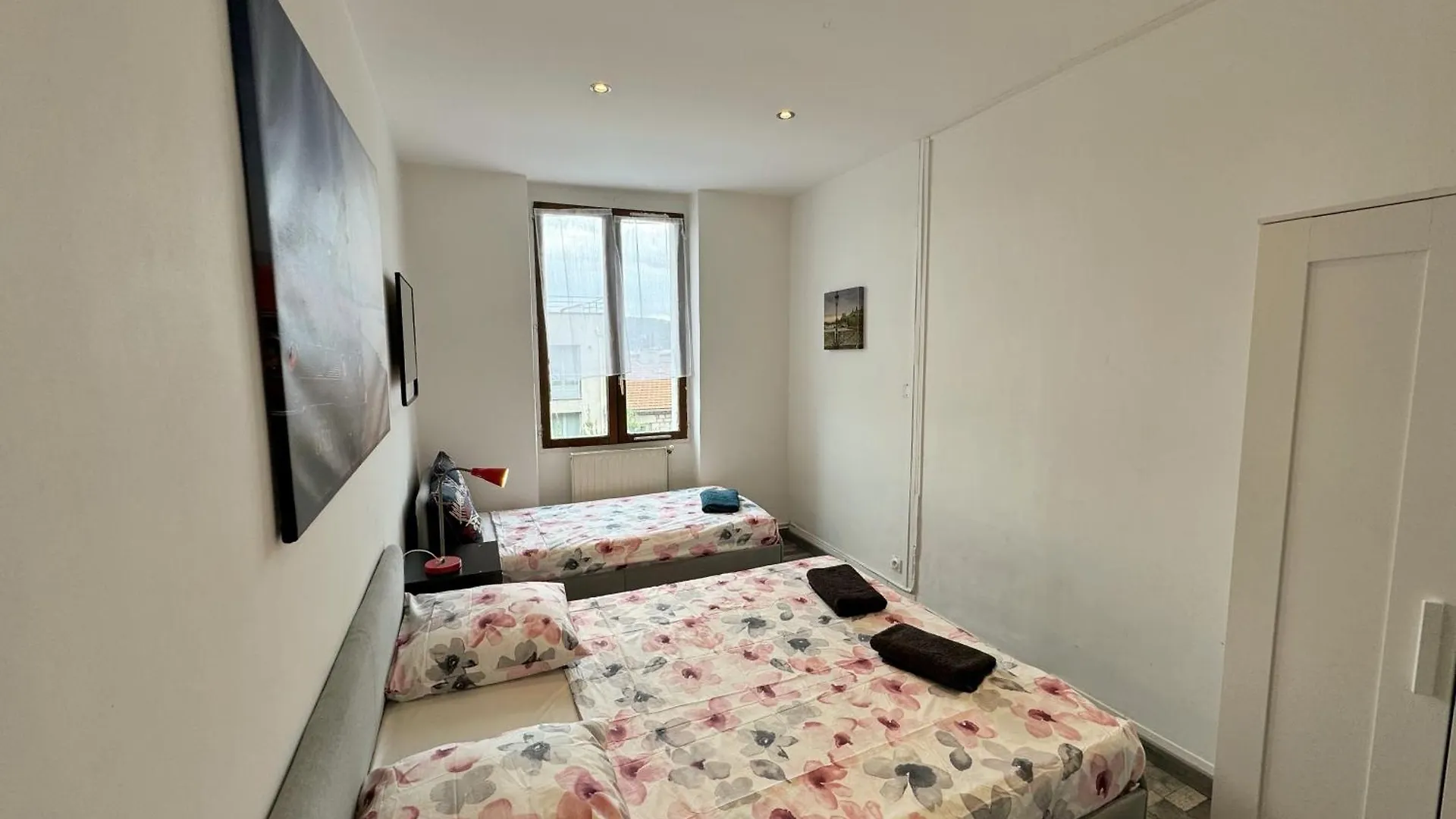 012 Chic & Cosy F2 34M2 Hypercentre Wifi Smart Tv Netflix Apartment Saint-Etienne  0*, Saint-Etienne (Loire) France